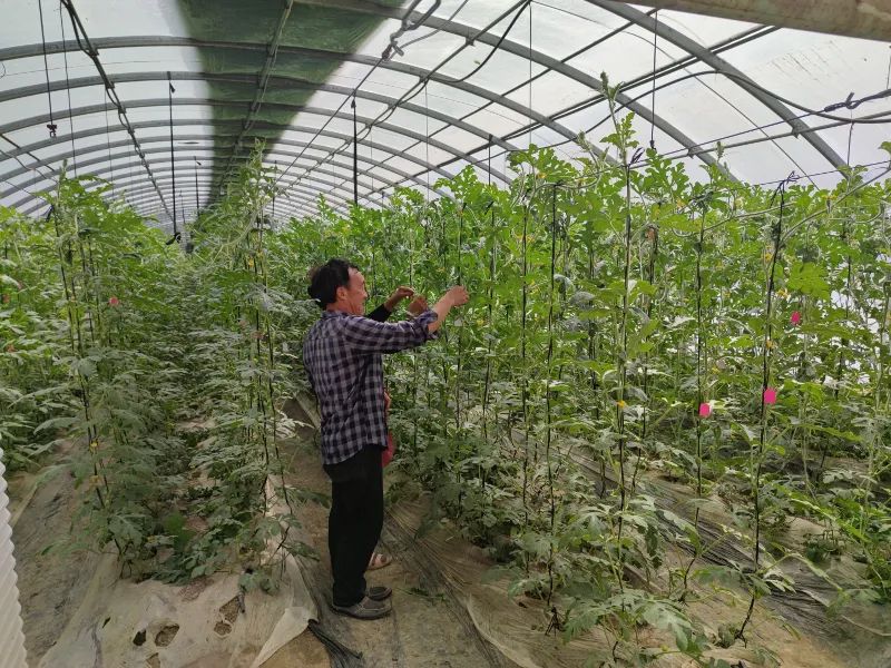 微信图片_20220507103043