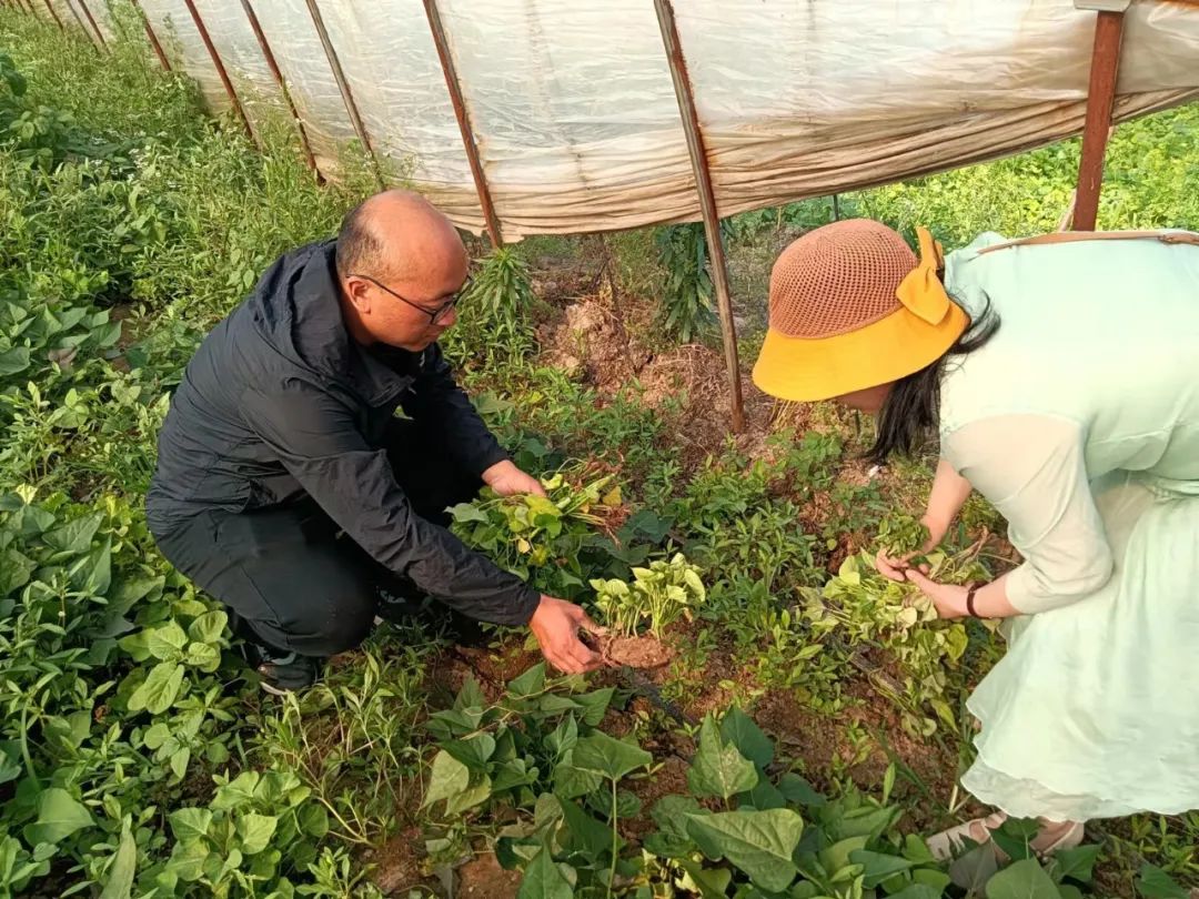 微信图片_20220526084515