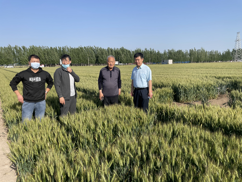 微信图片_20220526084939