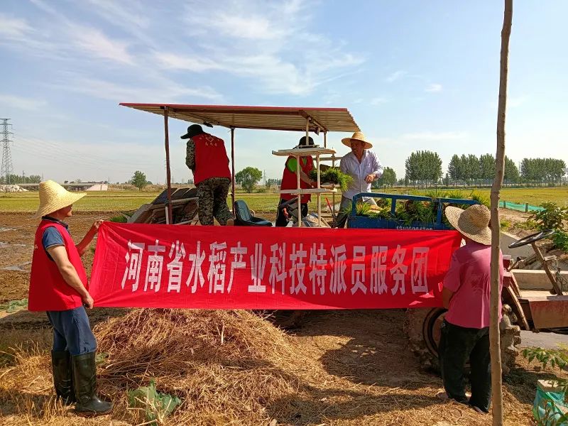 微信图片_20220704104216