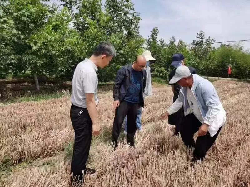 微信图片_20220704104624