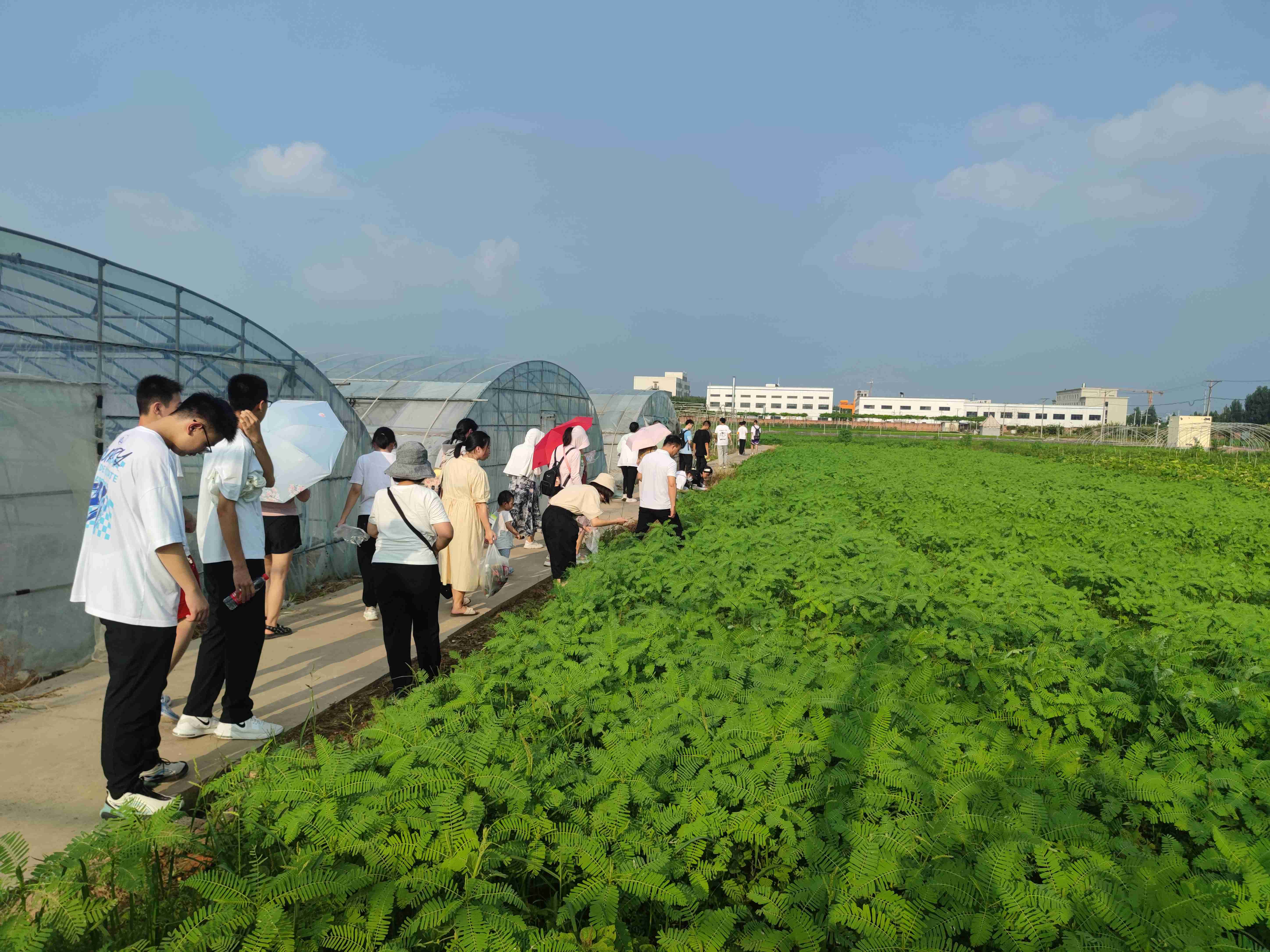 微信图片_20220905155909_副本_副本