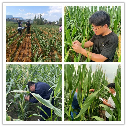 微信图片_20221008143114