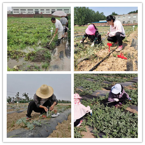 微信图片_20221008143136