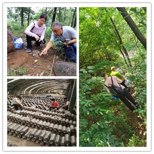 微信图片_20221008143141