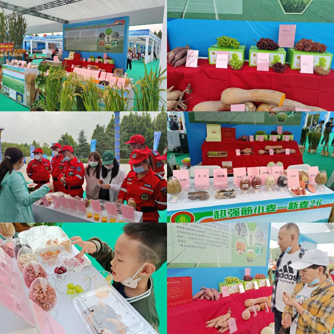 微信图片_20221008150015