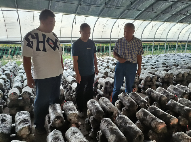 微信图片_20221008153522