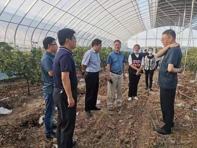 微信图片_20221031091955