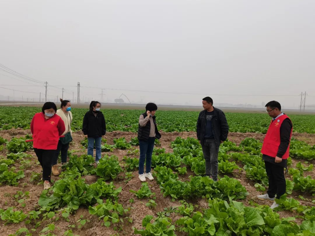 微信图片_20221205144855