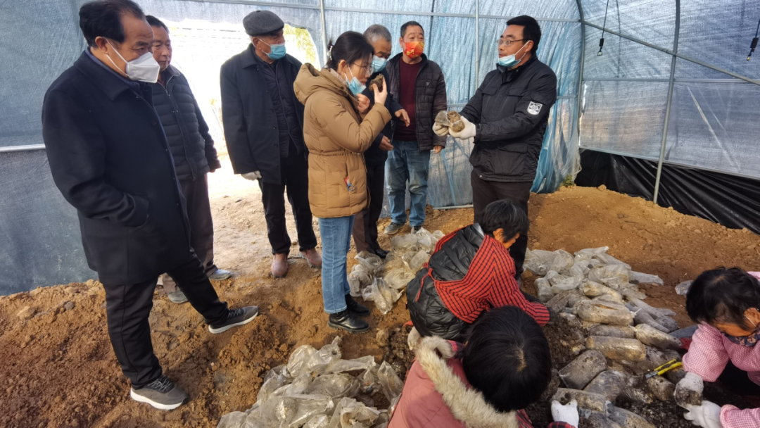 微信图片_20230104143851