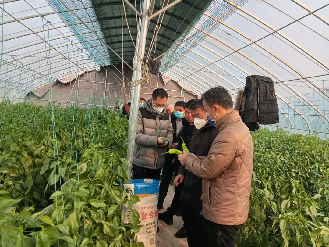 微信图片_20230207091451