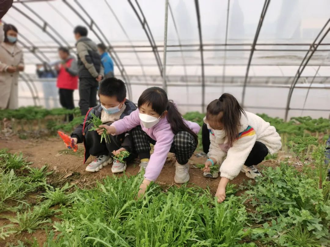 微信图片_20230302104146