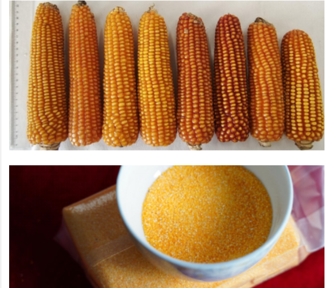 微信图片_20230317145224