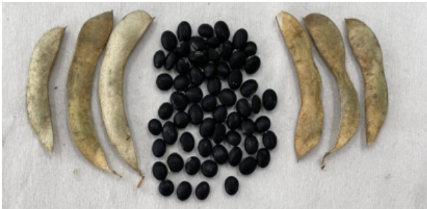 微信图片_20230317145231