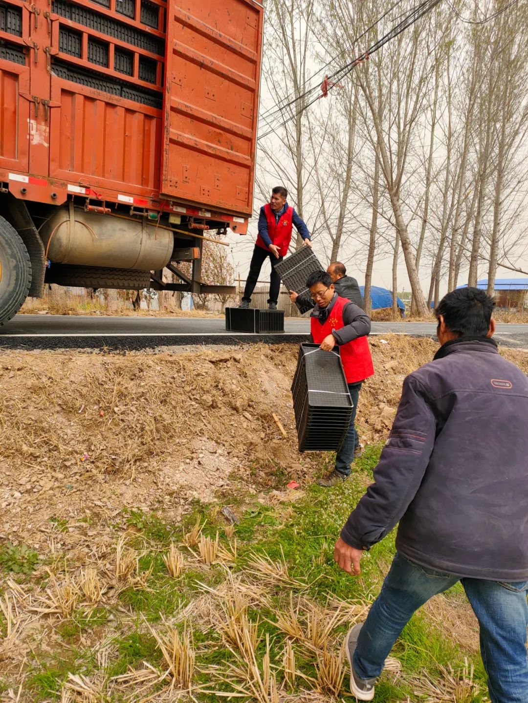 微信图片_20230406081656