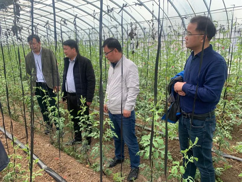 微信图片_20230504163302