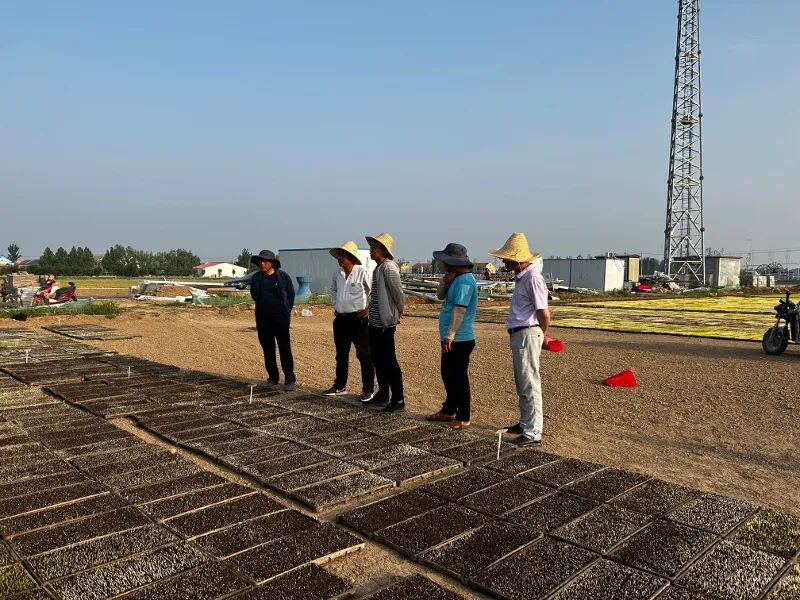 微信图片_20230608092641