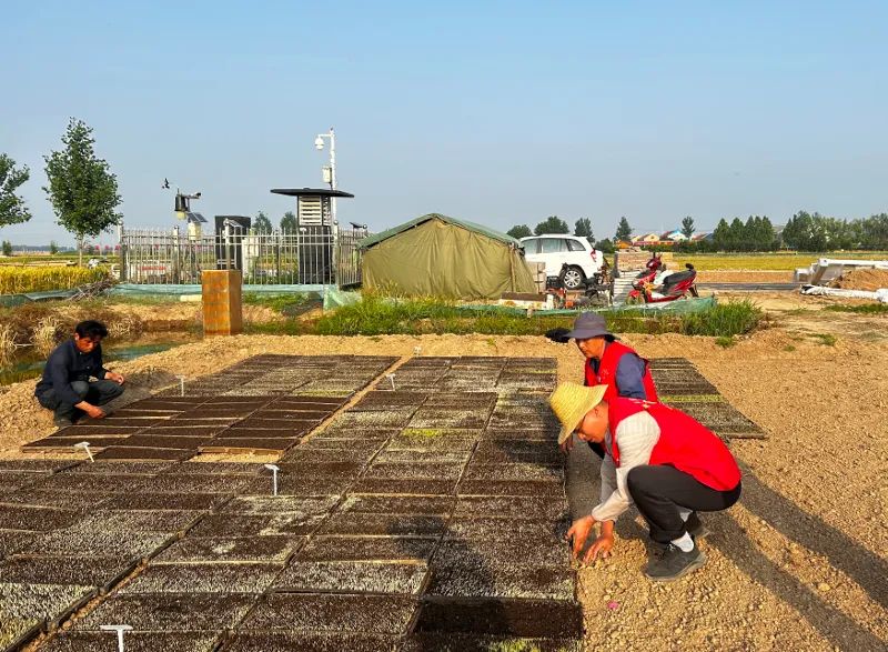 微信图片_20230608092645