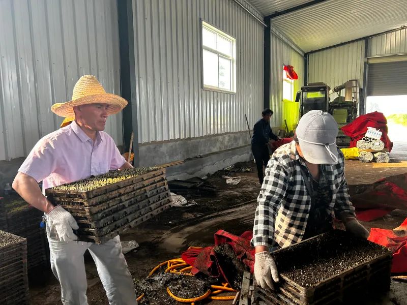 微信图片_20230608092650