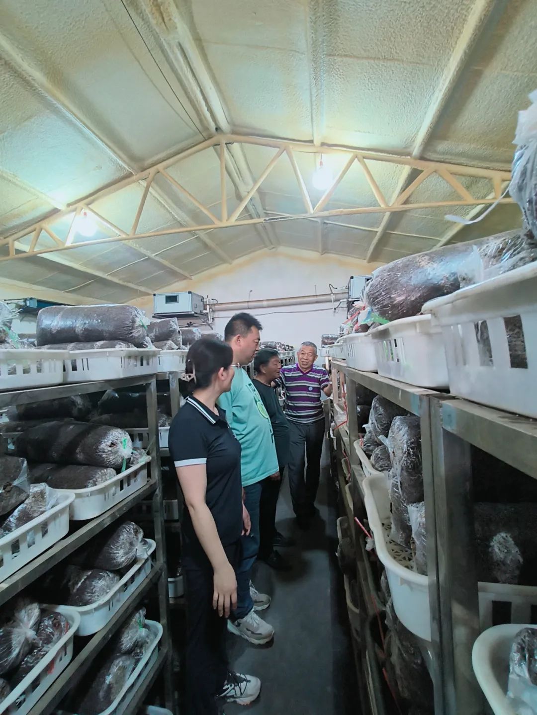 微信图片_20230608093326