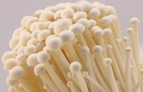 白色金针菇