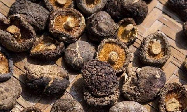 22ed-8bae3fdc2c05fcaff8652a01ef82d21f