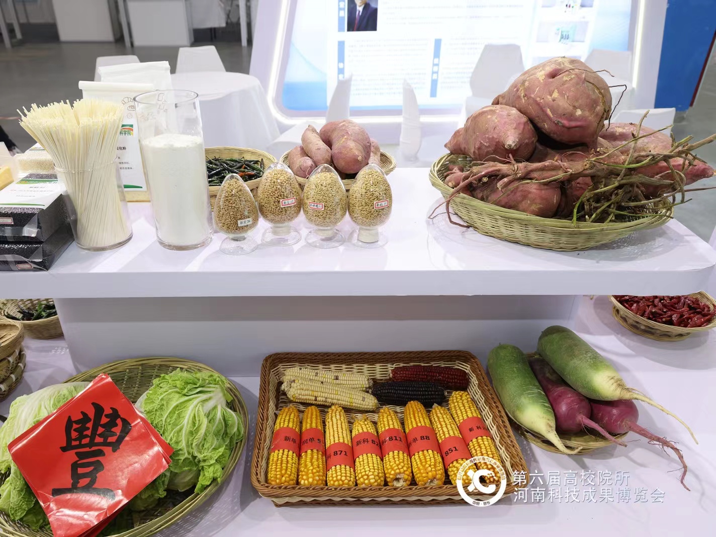 我院科技成果展示1