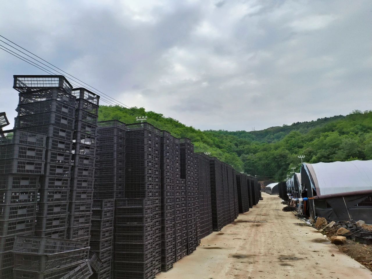 微信图片_20240701110852