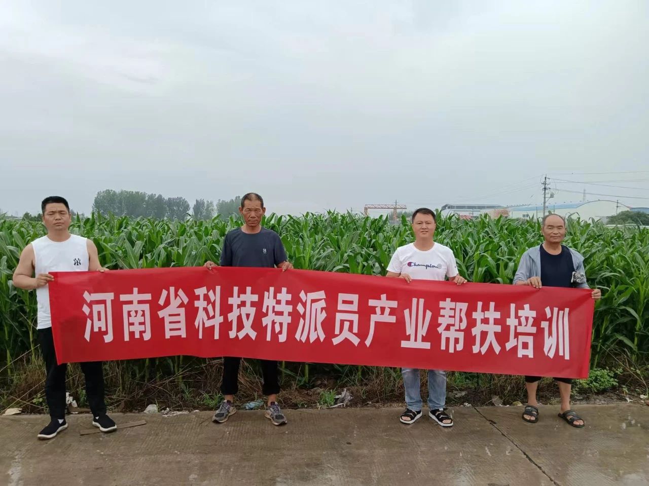 微信图片_20240805150326