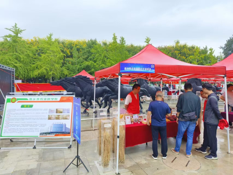 微信图片_20240925154729