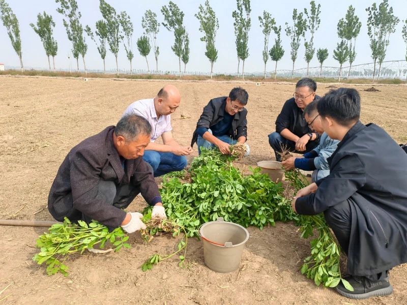 微信图片_20241028095137