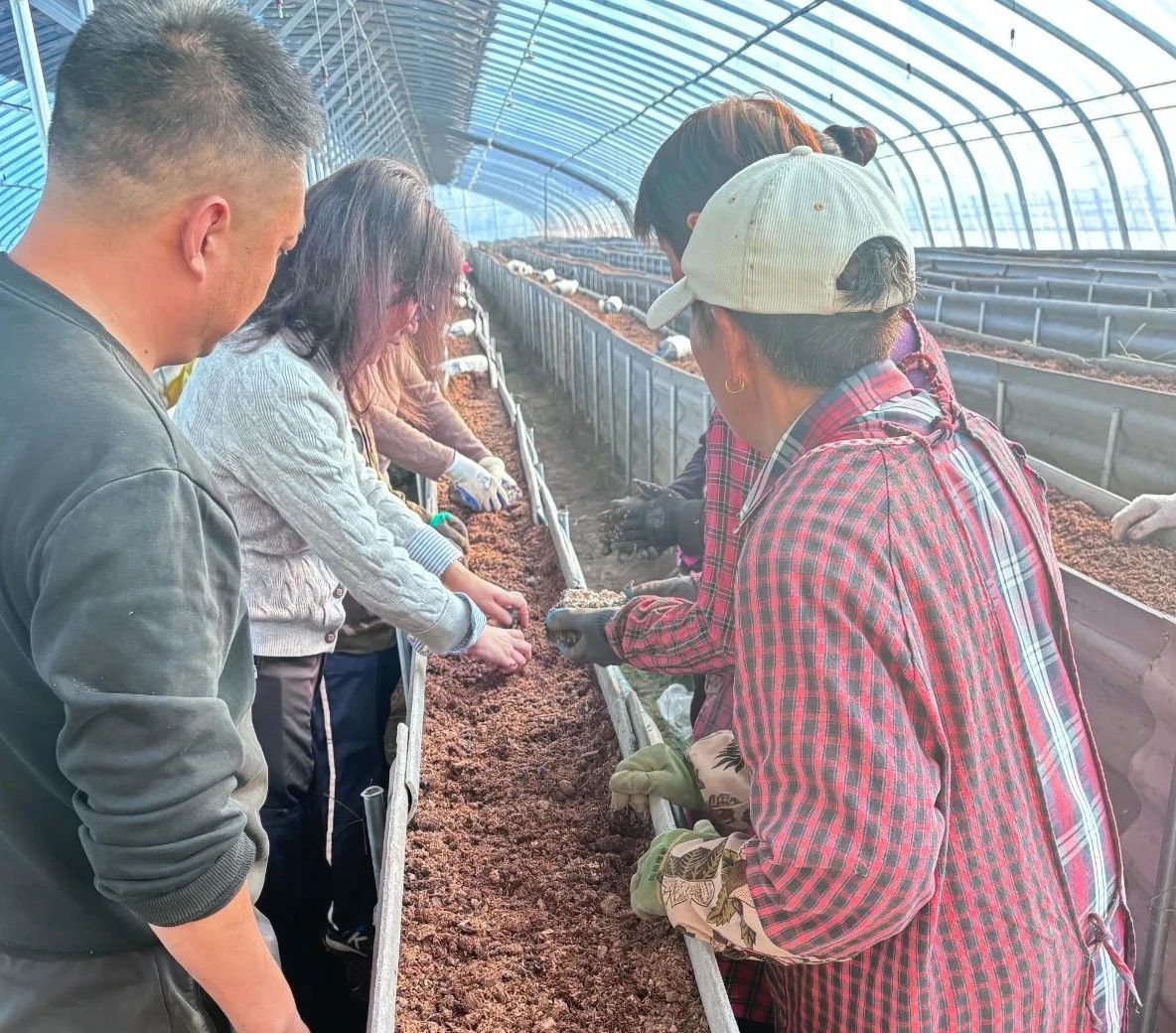 微信图片_20241029082858