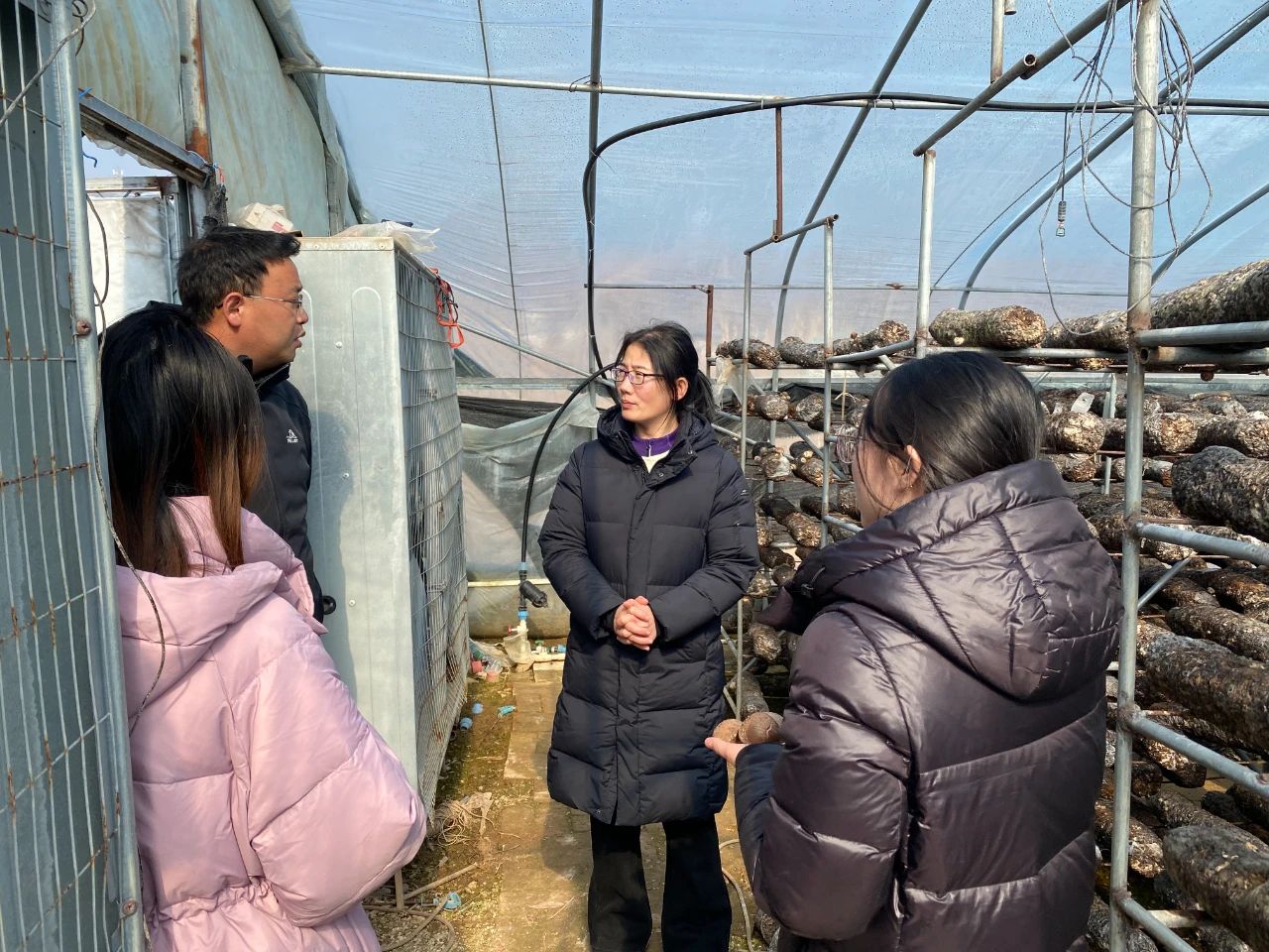 微信图片_20250401151452