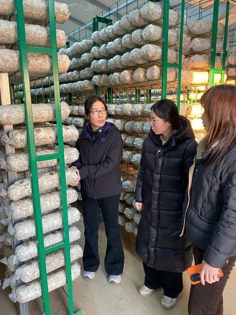 微信图片_20250401151501