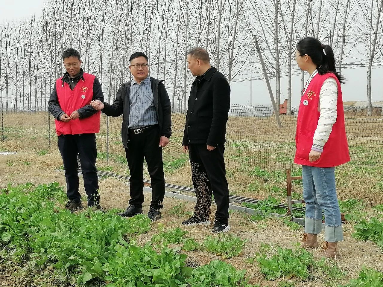 微信图片_20250401152215